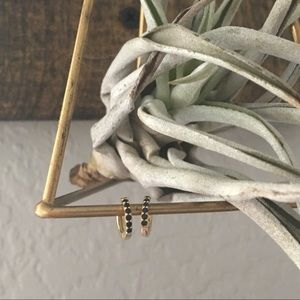 Tiny gold plated Earrings